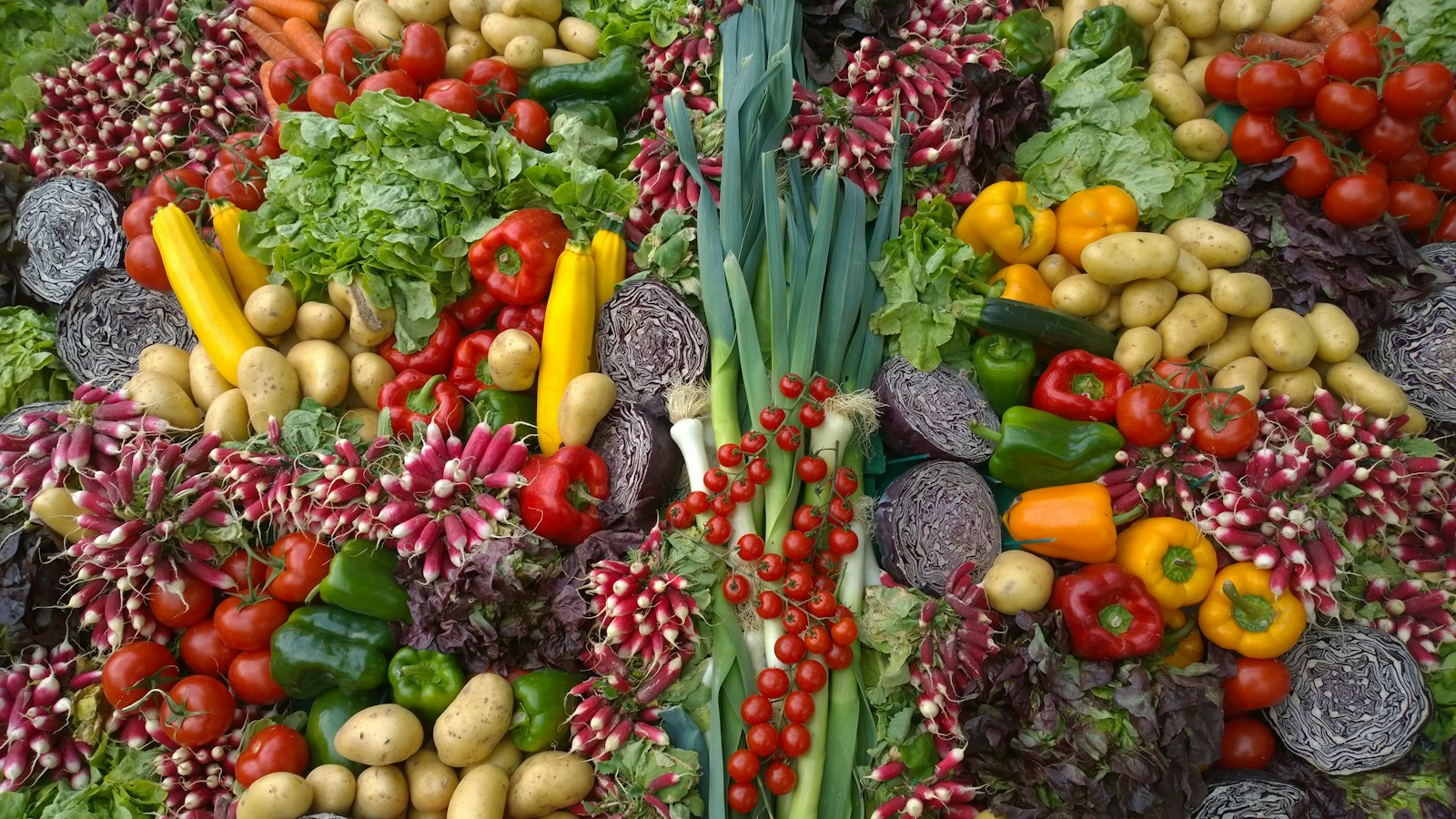 Mixed vegetables arranged together. Illustrative photograph, not a company catalogue.